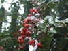 20210124130749-DSCF5747.JPG