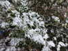 20210124130945-DSCN6332.JPG