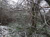 20210124131010-DSCN6333.JPG