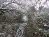 20210124131111-DSCN6336.JPG
