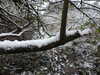 20210124131125-DSCN6337.JPG