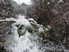 20210124131149-DSCN6339.JPG