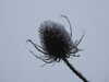 20210124131311-DSCN6344.JPG