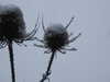 20210124131323-DSCN6345.JPG