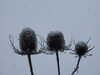 20210124131328-DSCN6346.JPG