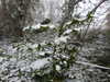 20210124131516-DSCN6350.JPG