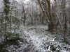20210124131525-DSCN6351.JPG