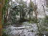 20210124131530-DSCN6352.JPG