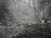 20210124131541-DSCN6353.JPG