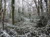 20210124131657-DSCN6357.JPG
