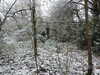 20210124131723-DSCN6361.JPG