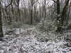 20210124131742-DSCN6362.JPG