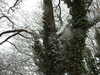 20210124131822-DSCN6364.JPG