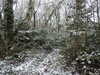 20210124131901-DSCN6366.JPG