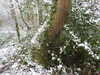 20210124132016-DSCN6370.JPG