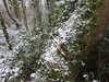 20210124132038-DSCN6371.JPG