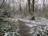20210124132105-DSCN6372.JPG