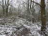 20210124132128-DSCN6374.JPG