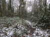 20210124132242-DSCN6379.JPG