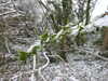 20210124132303-DSCN6380.JPG