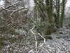 20210124132312-DSCN6382.JPG