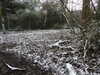 20210124132346-DSCN6383.JPG