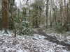 20210124132434-DSCN6387.JPG
