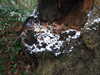 20210124132450-DSCF5758.JPG