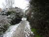 20210124132540-DSCN6388.JPG