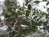 20210124132615-DSCN6390.JPG