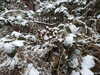 20210124132657-DSCN6391.JPG