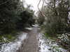 20210124132903-DSCN6395.JPG