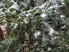 20210124132917-DSCN6396.JPG