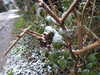 20210124133004-DSCN6397.JPG