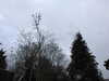 20210124133319-DSCN6402.JPG