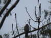 20210124133336-DSCN6403.JPG