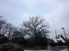 20210124133557-DSCN6405.JPG