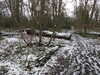 20210124134003-DSCN6409.JPG