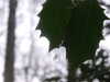 20210124134022-DSCF5760.JPG