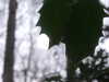 20210124134026-DSCF5761.JPG