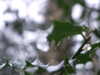 20210124134102-DSCF5762.JPG