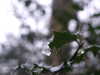 20210124134114-DSCF5763.JPG