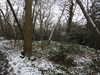 20210124134116-DSCN6412.JPG