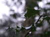 20210124134119-DSCF5764.JPG
