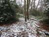 20210124134227-DSCN6414.JPG