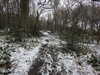 20210124134312-DSCN6415.JPG