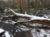 20210124134445-DSCN6417.JPG