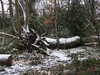 20210124134505-DSCN6418.JPG