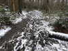 20210124134558-DSCN6419.JPG