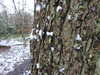 20210124134637-DSCN6420.JPG